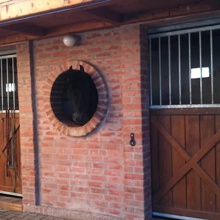Berenyi Fogado Motel 3*
